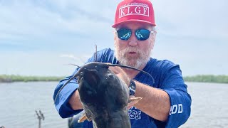 CatFish Fremont Wi | Wolf River | #catfish #channelcatfish #bluecatfish
