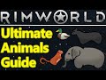 Rimworld animal guide 2023 pen guide feeding farm animals breeding hauling taming and more