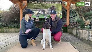 L ´ I N T E R ‘ V O U S  les munsterlanders de l’élevage de la Ranche du Chêne avec Hubert Botton