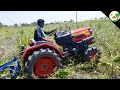Mahindra JIVO 245 DI 4WD mini tractor / New Mahindra JIVO Tractor - Come to village
