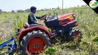 Mahindra JIVO 245 DI 4WD mini tractor / New Mahindra JIVO Tractor - Come to village