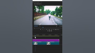 How to Color Grade Multiple Clips on Adjustment Layer in Premiere Pro | Beginner Masterclass