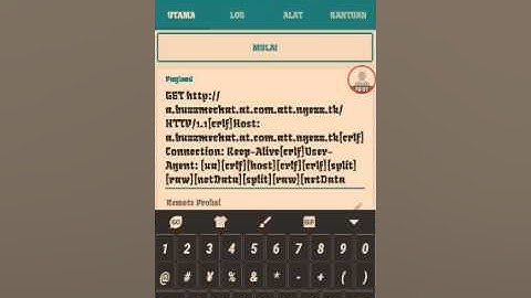 Payload Axis Hitz Bug baru status 203
