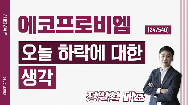 에코프로비엠 (247540) - 오늘 하락에 대한 생각