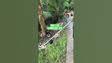 Bát cước cắt cỏ 8 đầu - cải tiến