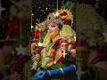 लगते हैं झूठे मां सहारे#durga#amba#song#yt short 🙏🙏🌺🚩❤️🌺🙏🙏