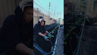 I Never Forget to Do This in Spring