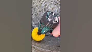 Clean algae out of livestock buckets with ease #donkey #livestock #animals