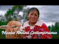 Música Andina Contemporánea - Volumen 1