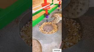 Mini Tractor Farming with Water Tanker 🚜💦 | Amazing Miniature Farming Machine #shorts