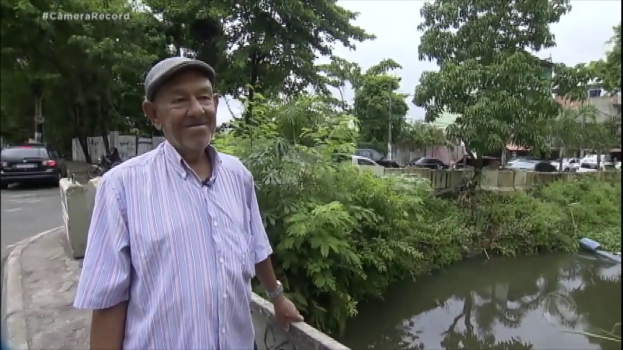 Moradores convivem com jacarés em bairro do Rio de Janeiro