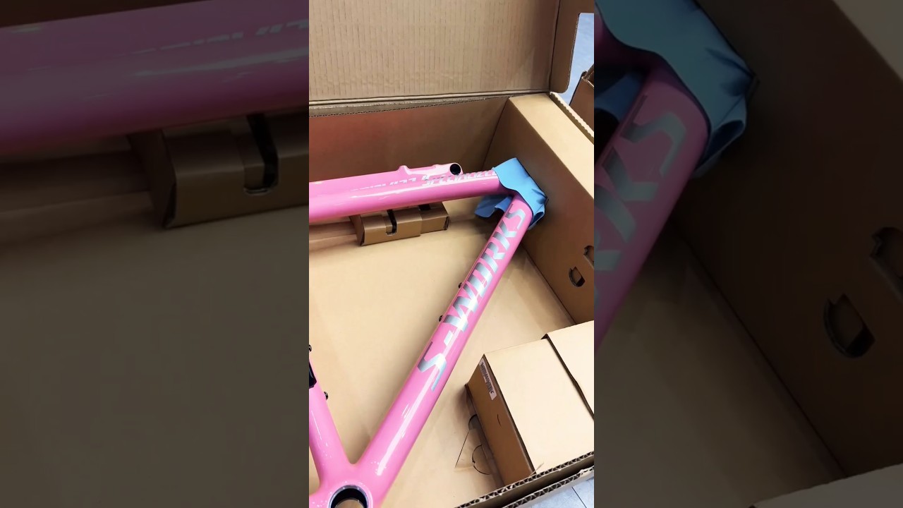 SPECIALIZED SWORKS SL8 pink 💗 /silver  