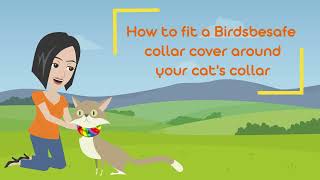 How to Fit a Birdsbesafe Cat Collar Cover Around Your Cat's Collar by birdsbesafe 503 views 10 months ago 2 minutes, 23 seconds