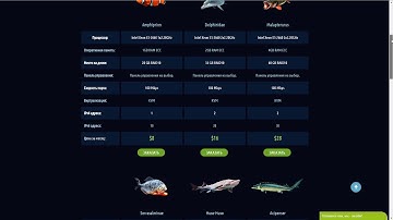 Morene host – действительно интересный сервис по предоставлению услуг аренды серверов.