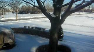 MVI_5545.AVI