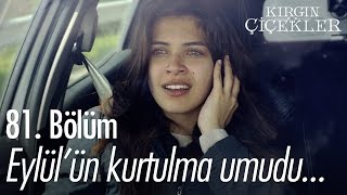 Eylülün Kurtulma Umudu... - Kırgın Çiçekler 81. Bölüm - Atv