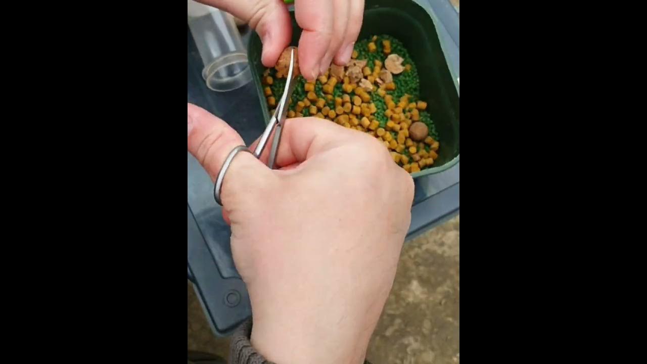 snowman rig carp fishing - MaxresDefault