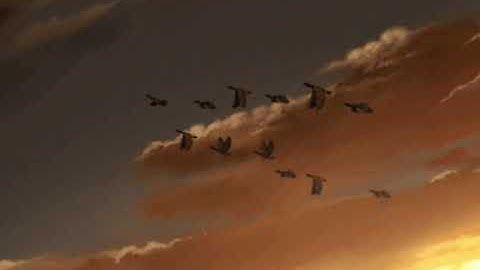 (93) سورة الضحى | مشاري العفاسي مع صوت المطر