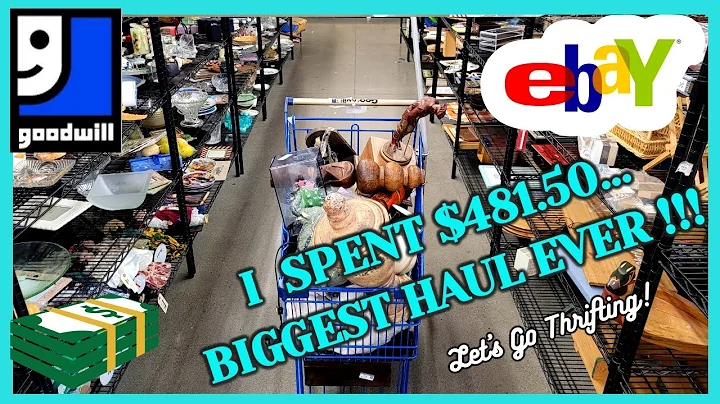 My BIGGEST GOODWILL HAUL EVER! The CART OVERFLOWED!  / Thrift With Me / Buy My HAUL / PUPS GO HIKING