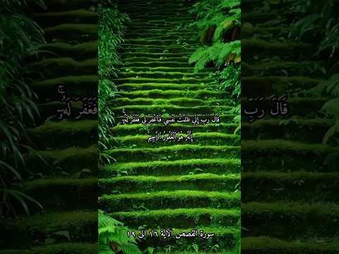 سورة القصص بصوت الشيخ ياسر الدوسري الاية ١٦ الى ١٩ Shorts 