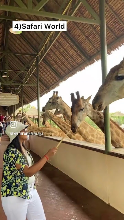 9 Must see places in Bangkok