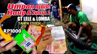 Racikan terbaru murah bikin juara | umpan ikan lele ampuh galatama dan lomba