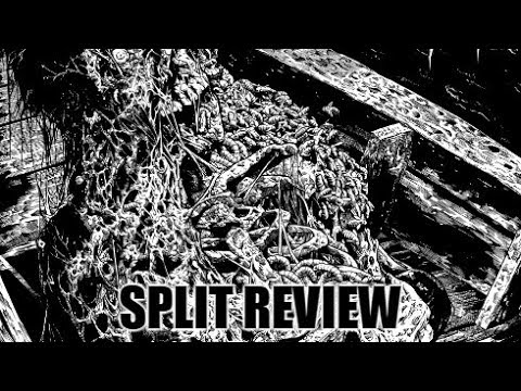 My Review Of Delusional Parasitosis/Ecchymosis/... "Scaphism"