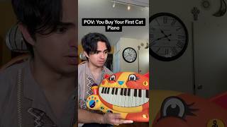 POV: You Buy Your First Cat Piano