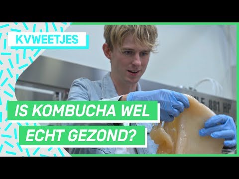 Video: Is Het Mogelijk Om Kombucha Aan Kinderen Te Geven?