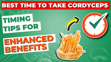 Best Time to Take Cordyceps: Timing Tips for Enhanced Benefits