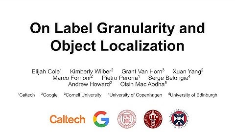 On Label Granularity and Object Localization -  ECCV 2022