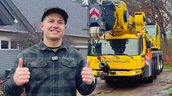 100-Foot Cottonwood Removal with a 200-Foot Crane | Massive Tree Job