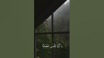 سورة الفجر 🤍 ( القارئ رعد الكردي )