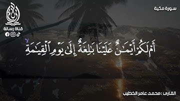 سورة القلم بتلاوة خاشعة بصوت الشيخ محمد عامر الخطيب بدون اعلانات