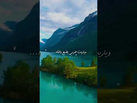 ونسيت حياتي نسيت ناصر نايف   ونسيت