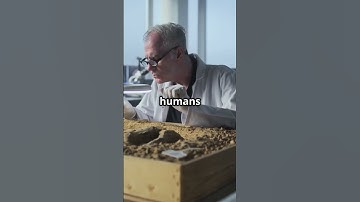 Ancient Footprints Rewrite History!