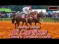 1 El Carlitos Cuadra Tarasco/ Arana campeon de campeones 2021 2 El Invasor 3 el papi ricki