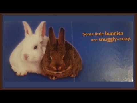 funny-bunnies