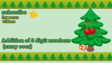 Addition of 5 digit numbers with carry over.
