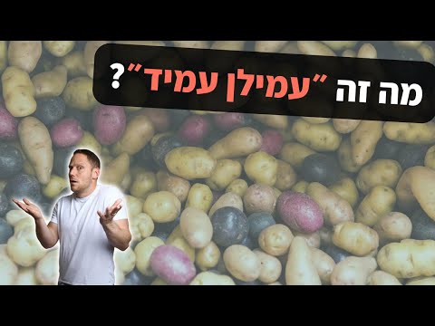 אביב גיל - מֶעֵבר לירידה במשקל