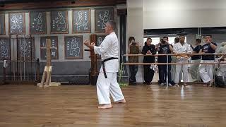 Sanchin kata Goju ryu karate IOGKF Sensei Kurilko Bogdan 6 dan