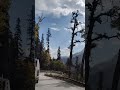 #trendingshorts #travel #lehladakhtourism #youtubeshorts #viralshort #mountains #beautiful #views