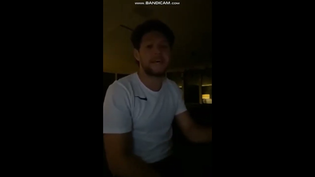 Niall Horan   Champagne Lovers Unreleased