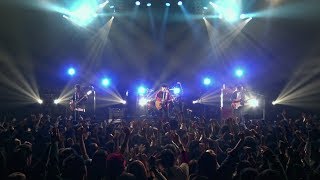 Halo at 四畳半 &quot;モールス&quot; (Official Live Video)
