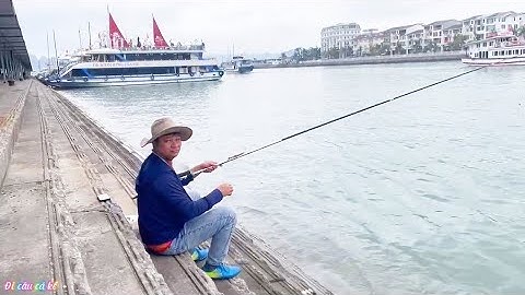 CÂU CÁ TUẦN CHÂU p3_ ngồi đuôi tàu du lịch câu cá || đi câu cá kể 