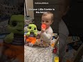 Baby’s First Halloween #babyshorts #baby #babyboy #shortsfeed #funny #cutebabies #fypシ゚viral