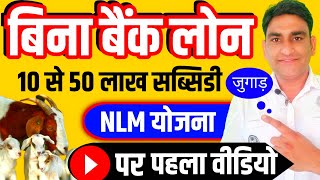 NLM Scheme Subsidy Without Bank Loan New Tricks, Goat and Sheep Farming 2023 बकरी- भेड़ पालन