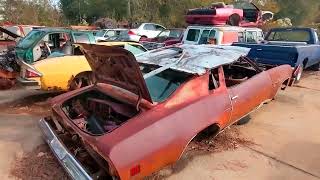 Learned of this Junkyard one day before everything was crushed!