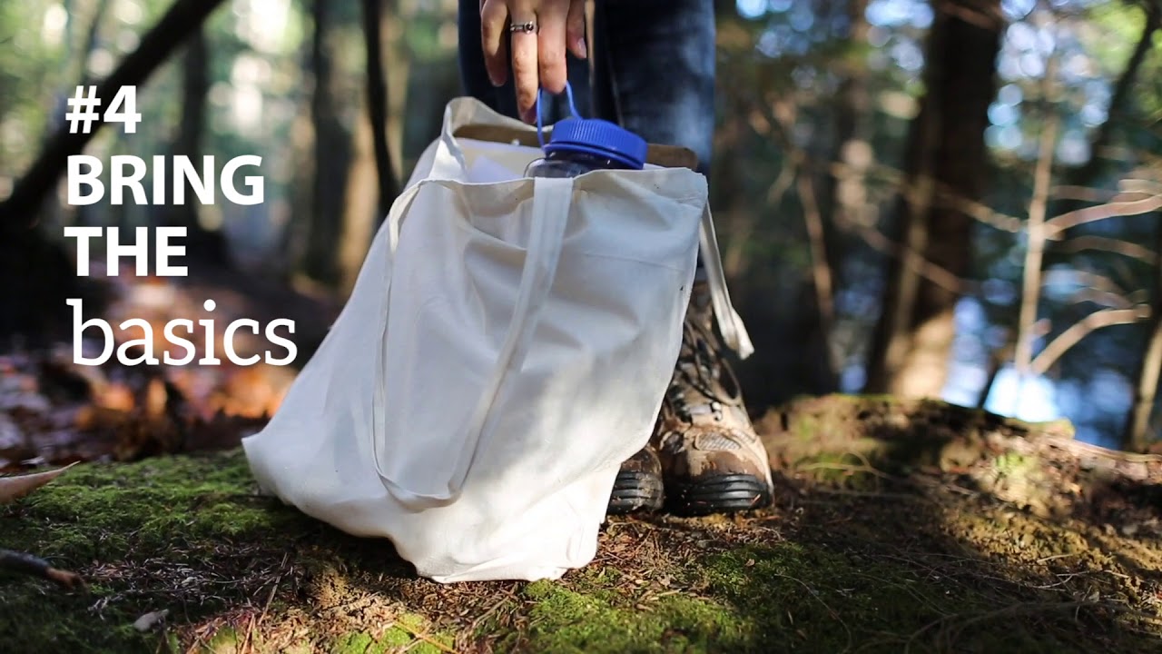 The First Steps: Planning a Nature Walk