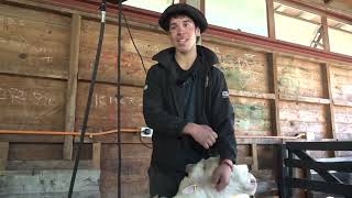 Liceo Bicentenario Agrícola de la Patagonia